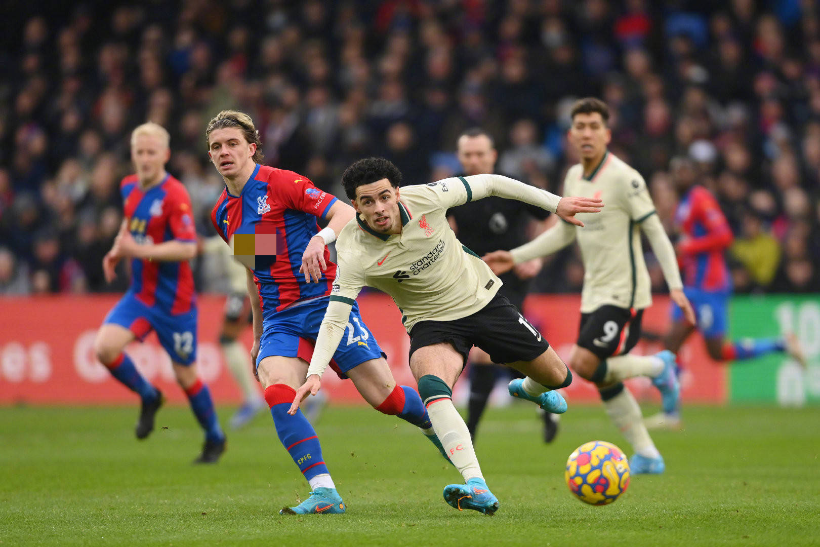 更是他们能 更是他们能